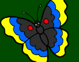 Coloring page Butterfly painted byDANIEL