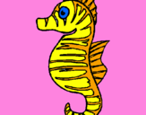 Coloring page Sea horse painted bykendall