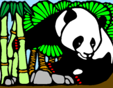 Coloring page Panda and bamboo painted byrazy