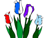 Coloring page Tulips painted bysylvester