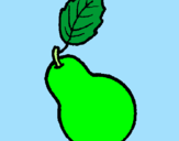 Coloring page pear painted byIratxe