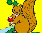 Coloring page Squirrel painted bygemaica