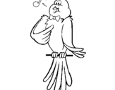 Coloring page Canary singing painted byyuan