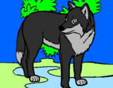 Coloring page Wolf painted byDesi