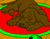 Coloring page Sleeping dog painted bykylie