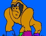Coloring page Gorilla painted bykeanu