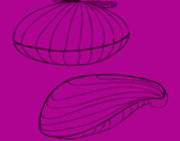 Coloring page Clams painted byMICAELA56