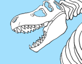 Coloring page Tyrannosaurus Rex skeleton painted byegidijus