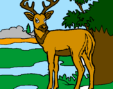 Coloring page Young deer painted byZAC AND JONATHAN