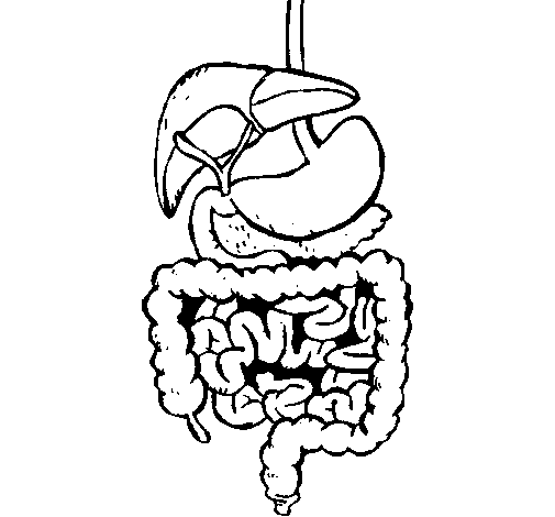 Coloring page Intestines painted byem
