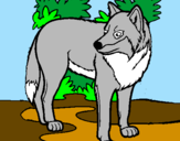 Coloring page Wolf painted bypanayiotis
