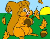 Coloring page Squirrel painted bymorg