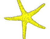 Coloring page Little starfish painted bycynthia