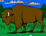 Coloring page Buffalo painted byCoco