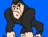 Coloring page Gorilla painted byChas