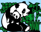 Coloring page Panda mother painted byDANI