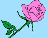 Coloring page Rose painted bydani