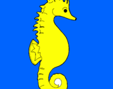 Coloring page Sea horse painted bysfdfhgghh