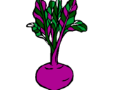 Coloring page beetroot painted byBeetroot
