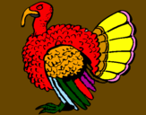 Coloring page Turkey painted byJEREMY