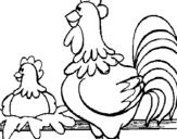 Coloring page Cock and hen painted byyuan