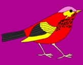 Coloring page Thrush painted byhanza