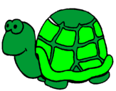 Coloring page Turtle painted byChristina Marie