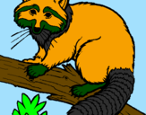 Coloring page Raccoon painted bysanti