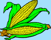 Coloring page Corncob painted bydany12