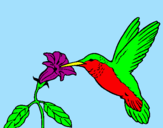 Coloring page Hummingbird and flower painted byLauren 