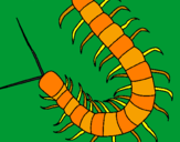 Coloring page Centipede painted bywilliam mcfadyen