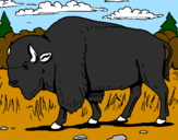 Coloring page Buffalo painted bybuffalo