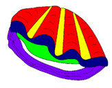 Coloring page Clam painted byPipsqeak