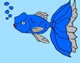 Coloring page Tancho fish painted byMarga