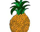 Coloring page pineapple painted byHolly