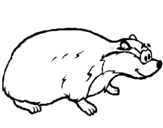 Coloring page Badger painted bysirrobb