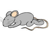 Coloring page Little rat painted byelian