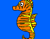 Coloring page Sea horse painted byjenzel