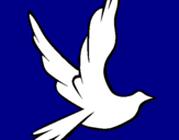 Coloring page Dove of peace in flight painted byanna paola