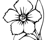 Coloring page Flower painted byFOFO