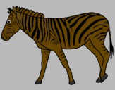 Coloring page Zebra painted byMarga