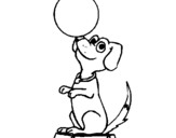 Coloring page Circus dog painted byALEX HOWARD