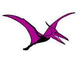 Coloring page Pterodactyl painted byjose