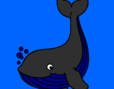 Coloring page Little whale painted byMarga