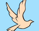 Coloring page Dove of peace in flight painted byMarga
