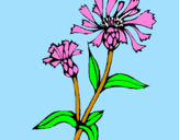 Coloring page Country flowers painted byvalentina