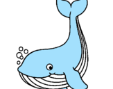 Coloring page Little whale painted bywhale
