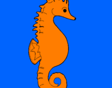 Coloring page Sea horse painted byRANDALL