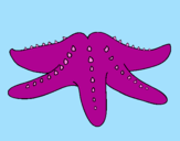 Coloring page Starfish painted byleidy