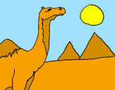 Coloring page Camel painted bydarck